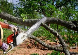 Best Hazardous Tree Removal  in Innsbrook, VA